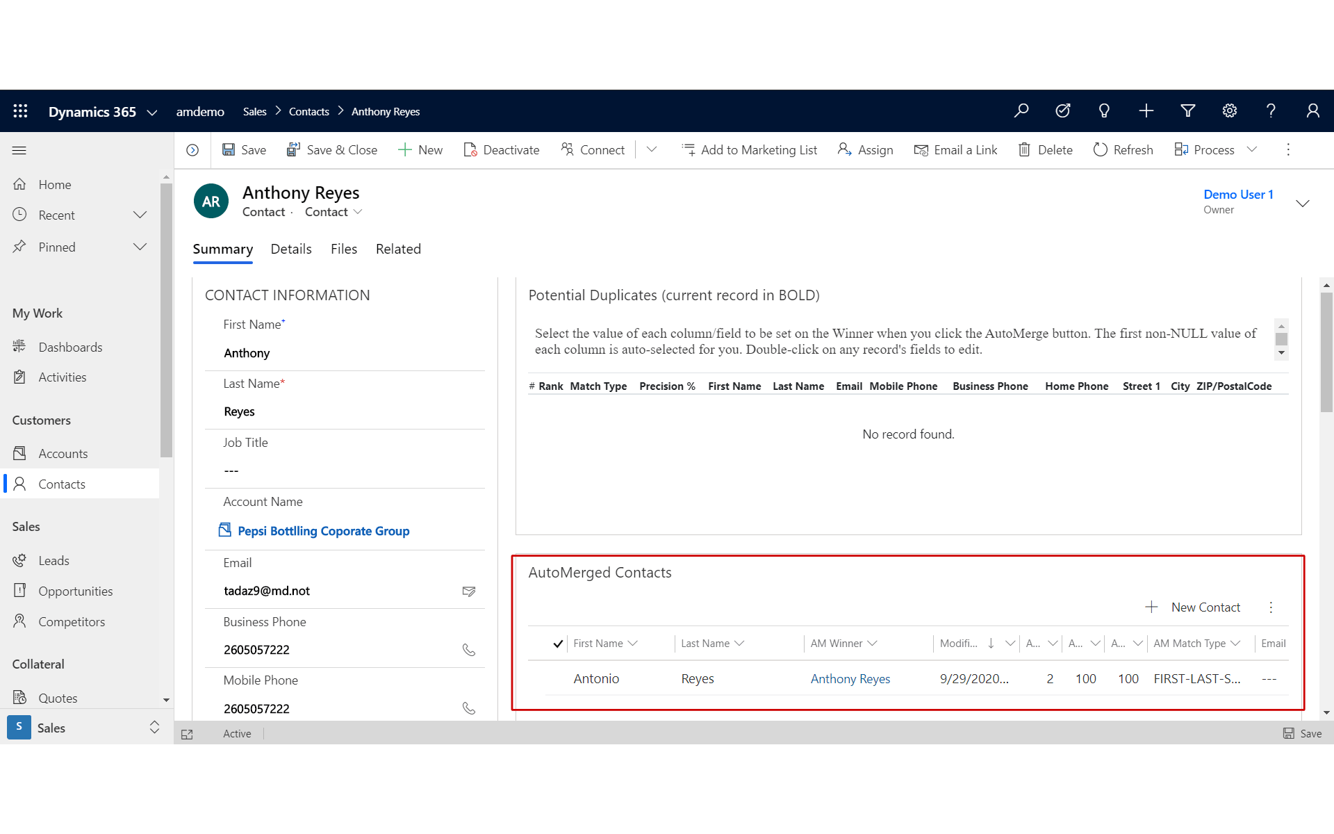 AutoMerged Contacts subgrid on the winner record