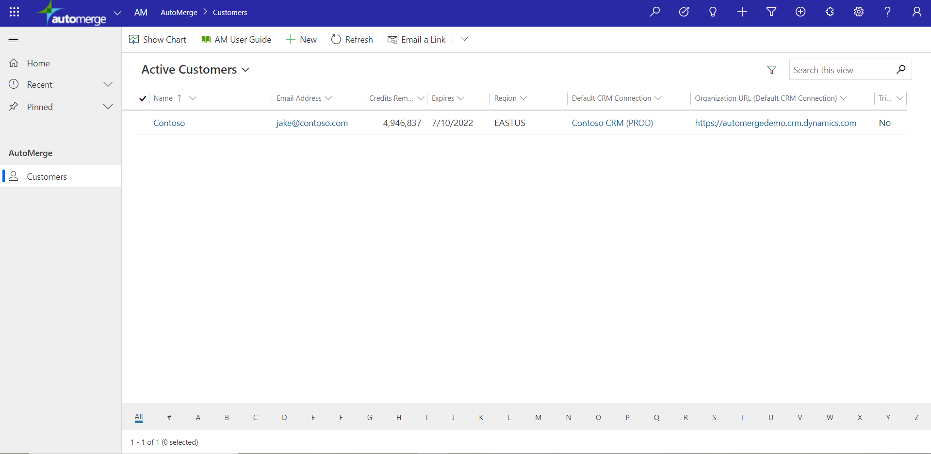Customer record in the Active Customers view